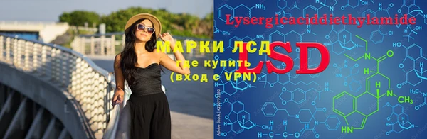стаф Бородино