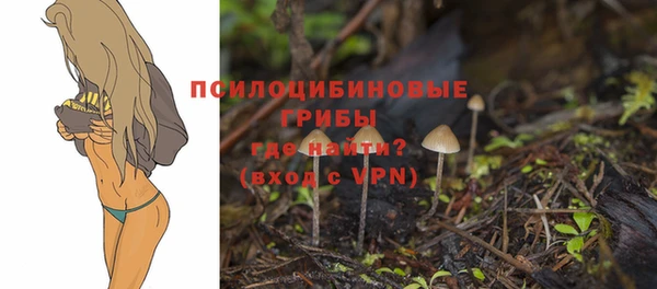 мет Белокуриха