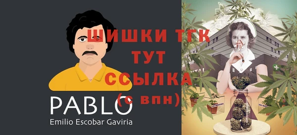 стаф Бородино