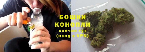 стаф Бородино