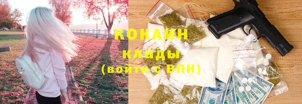 стаф Бородино