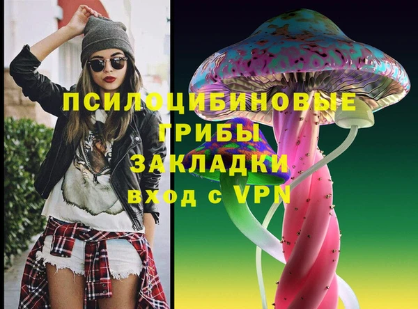 стаф Бородино